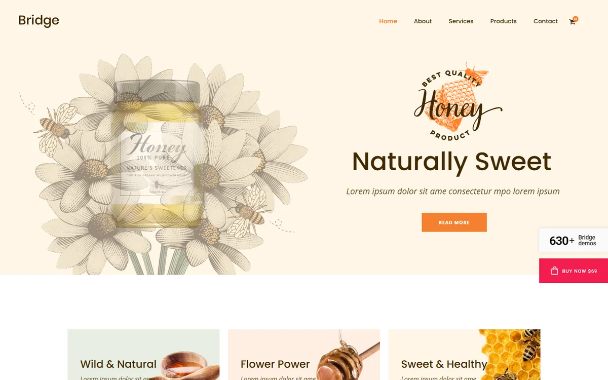Honey elementor web tasarım demosu
