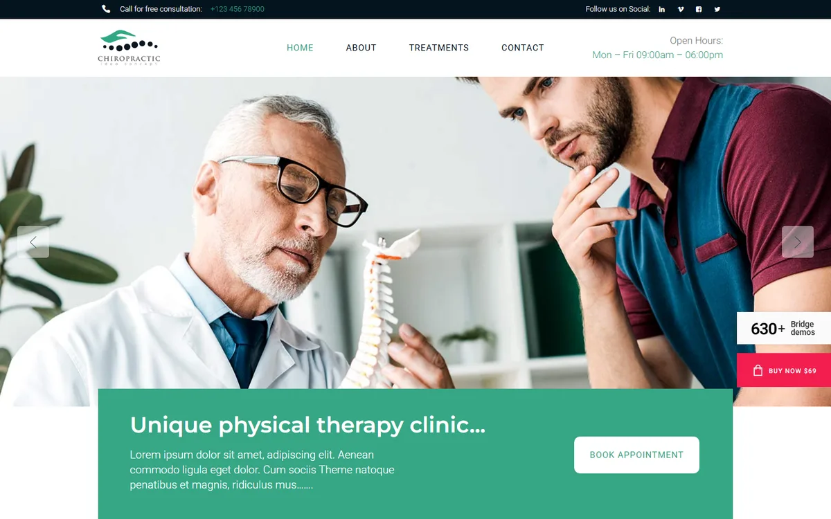Chiropractic elementor web tasarım demosu