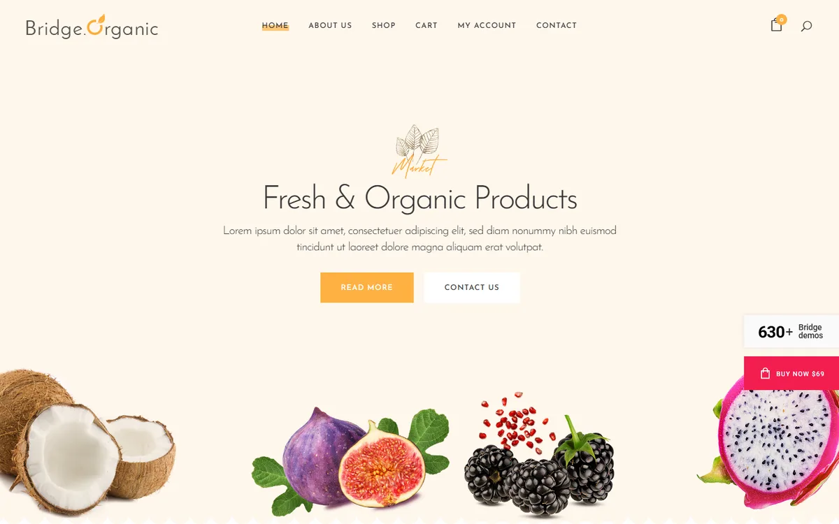 Organic Food Mağazası wpbakeryelementor web tasarım demosu