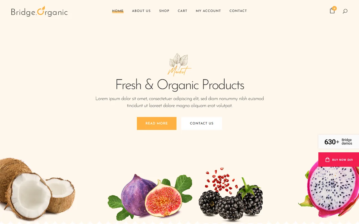 Organic Food Mağazası wpbakeryelementor web tasarım demosu