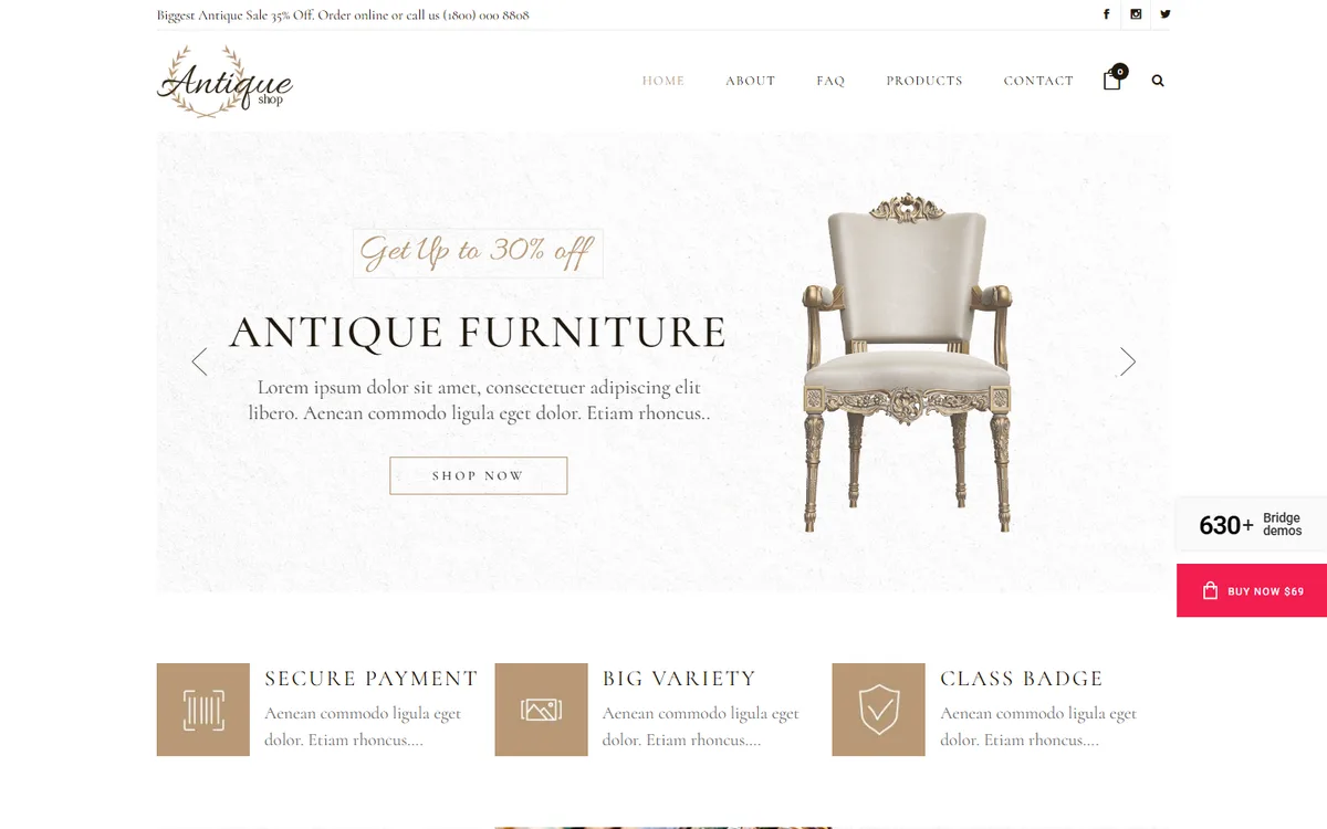 Antique Mağazası elementor web tasarım demosu