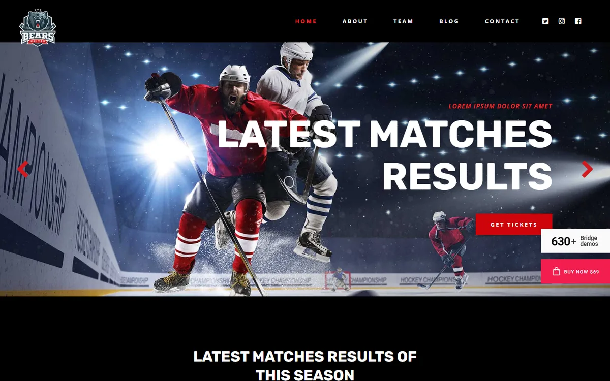 Ice Hockey elementor web tasarım demosu
