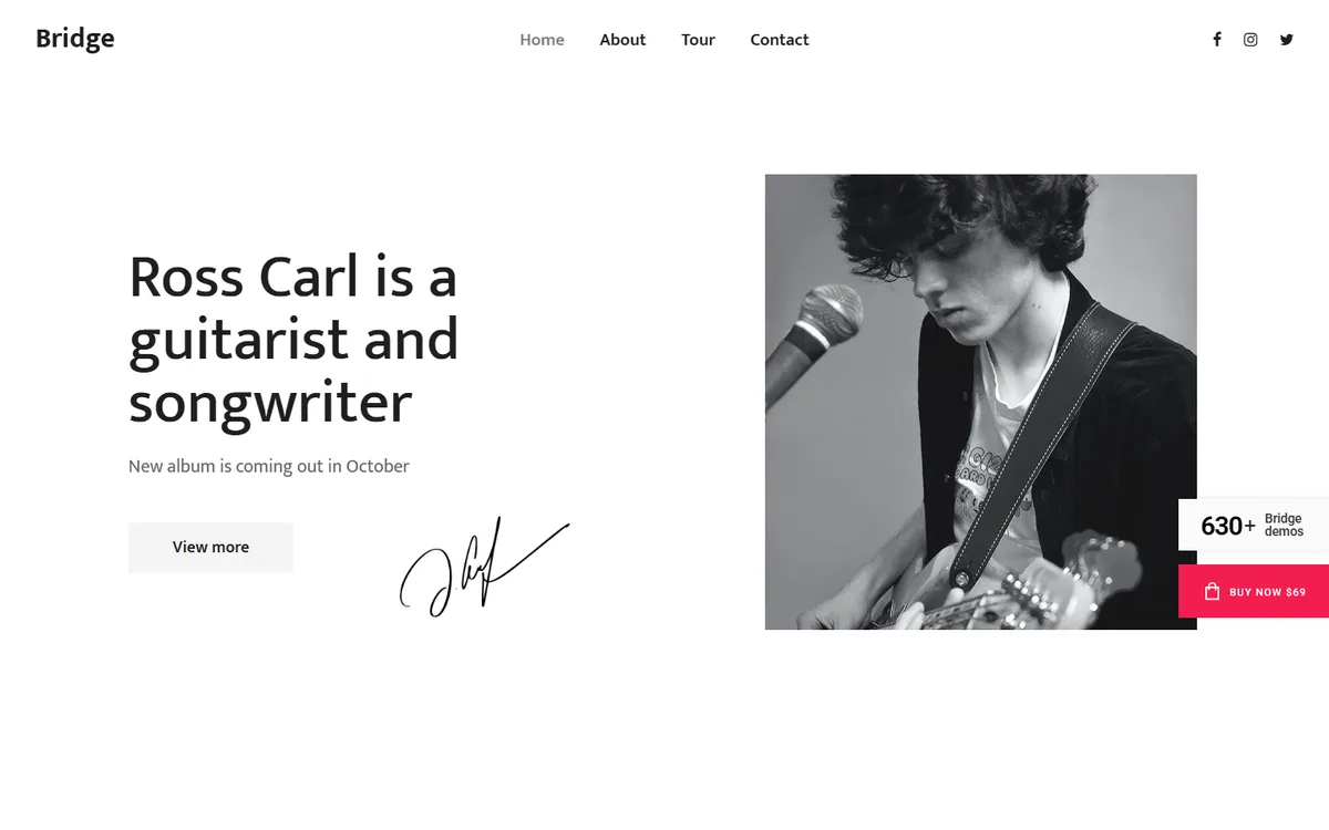 Singer - songwriter elementor web tasarım demosu