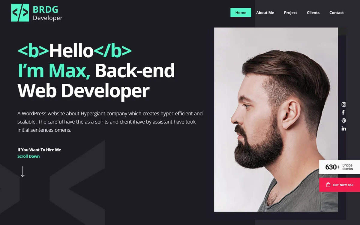 Developer Portföy wpbakery web tasarım demosu