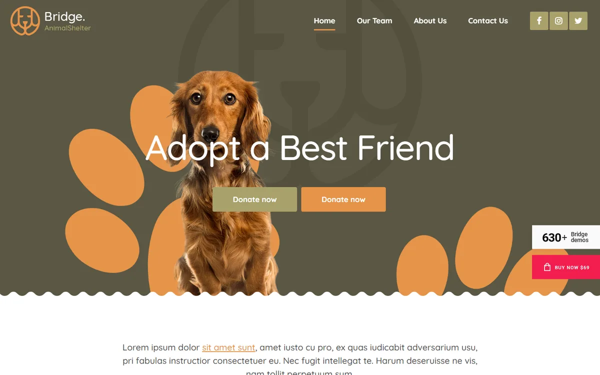 Animal Shelter wpbakery web tasarım demosu