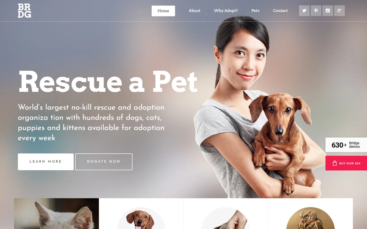 Pet Sanctuary wpbakery web tasarım demosu